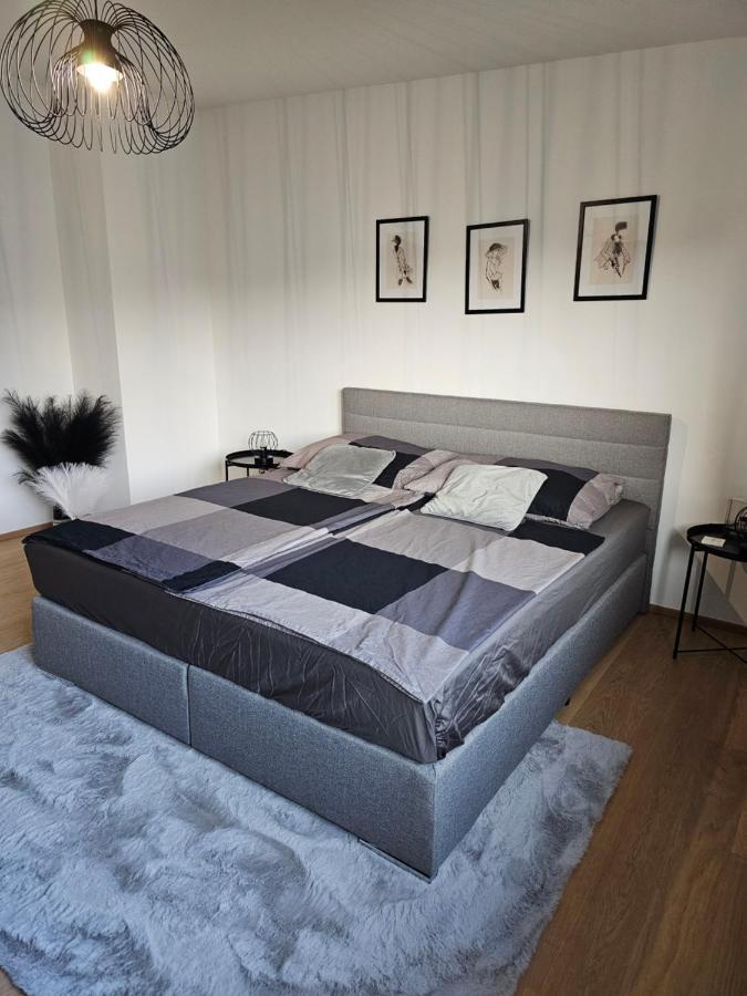 Cosy & Elegant Cityhouse With Garden Вена Экстерьер фото